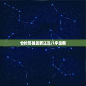 合婚属相重要还是八字重要，合婚要用八字还是用属相