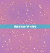 属猪婚配哪个属相更好，属猪男更佳婚配对象