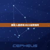 属蛇人遇虎年2022运势如何 属蛇人虎年怎么避免运势差