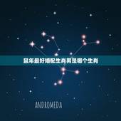 鼠年最好婚配生肖男是哪个生肖，属鼠的和什么属相最配 属鼠的属相婚配表