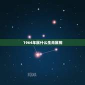 1964年属什么生肖属相，1964年属什么生肖？