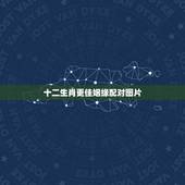 十二生肖更佳姻缘配对图片，更佳十二生肖属相配对