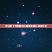 如何与上司同僚和下属相处课后测试答案，怎样与上司同事下属相处：图书：比