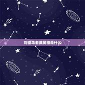 刘德华老婆属相是什么，刘德华老婆的资料和介绍