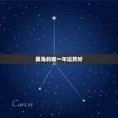 属兔的哪一年运势好，属兔的是，什么时候运气最好