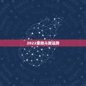 2022紫微斗数运势，请看此人紫微斗数盘，并推算运势如何。