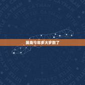属兔今年多大岁数了，五几年属兔今年多大了