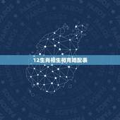 12生肖相生相克婚配表，猴和什么属相相冲