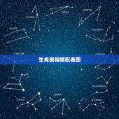 生肖属相婚配表图，表图十二生肖婚姻相配