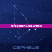 2022年属鼠的人今年运气如何，2022年哪些生肖运气好