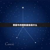男属牛的婚配最佳是什么，属牛男的和什么属相最配