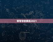 带琴字的网名2021，好听的公司名字大全2021