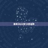 属羊2022年12月运势，2022 年属羊人的全年运势