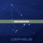 动物交流配乐视频，动物动感音乐视频