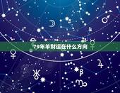 79年羊财运在什么方向，79年的羊是什么命，五行属什么