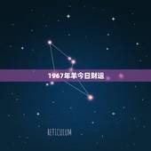 1967年羊今日财运，1967年属羊人的财运