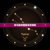 兔与鼠的婚姻是否相配，兔与鼠相克吗