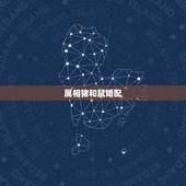 属相猪和鼠婚配，属鼠和属猪的相配吗