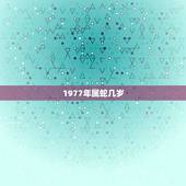 1977年属蛇几岁，1977年属蛇今年多大了