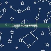 猪运势2022年每月运程，2022年属猪人的全年运势