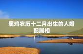 属鸡农历十二月出生的人婚配属相，男女属鸡的属相婚配表大全 生肖属鸡与什
