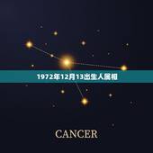 1972年12月13出生人属相，1972年出生，是什么属相？