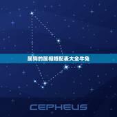 属狗的属相婚配表大全牛兔，属狗和什么属相最配 属狗的属相婚配表大全