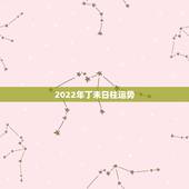 2022年丁未日柱运势，年柱:丁巳 月柱:丁未 日柱:庚午 时柱:丁丑