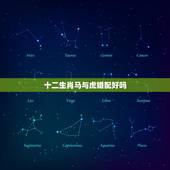 十二生肖马与虎婚配好吗，生肖虎和鼠相配好吗