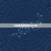 今年属虎的运势2022年，2022年属虎全年运势男