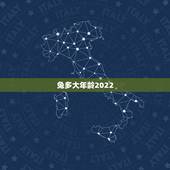 兔多大年龄2022，65年的今年多大2022