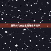 属羊的几点出生更好命男孩子，1979年羊人41岁后命运