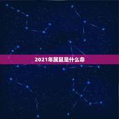 2021年属鼠是什么命，属鼠人2021年全年运势详解？