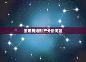 重婚离婚财产分割问题，重婚，离婚，财产分割，抚养问题