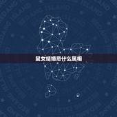 鼠女结婚忌什么属相，鼠和鼠结婚忌讳什么属相