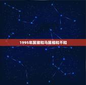 1995年属猪和马属相和不和，属猪跟属马的属相和不和