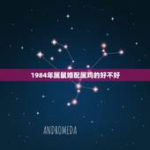 1984年属鼠婚配属鸡的好不好，1981年属鸡男与1984年属鼠女相配