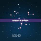 婚姻配对属相表图片，婚姻五行配对属相表