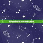 蛇与猪的婚配如何有什么用途，生肖蛇跟猪配对好吗