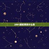 2001属蛇男孩什么命，1977年属蛇人43岁答案