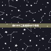 2019十二生肖的49个号码，2023十二生肖的49个号码？