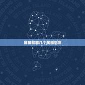 属猪和哪几个属相犯冲，95年属猪的和什么属相犯冲