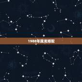 1988年属龙婚配，男88属龙更佳婚配属相