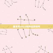 属羊男2022年的运势如何，12生肖运势2022 年运势详解势详解
