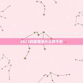 2022的属相是什么好不好，2022年财运排名属相