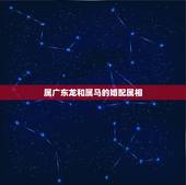 属广东龙和属马的婚配属相，属龙的和属马的婚配好吗？