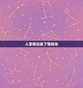 人怎样日发了情的羊，怎么样才能怀孕