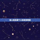 输入姓名查个人信息官网董，输入自己的名字，能看到自己的个人身份信息吗？