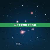 天上下来的孩子好不好，神婆说我的孩子前生是天上的一朵神花，请教一下，他