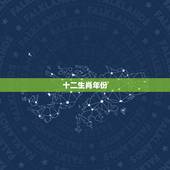 十二生肖年份，十二生肖年份对照表图